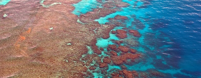 Plage océan marée