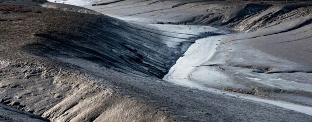 Vasières illustrant l'effondrement écologique