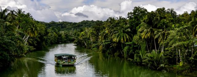 Rivière en forêt tropicale