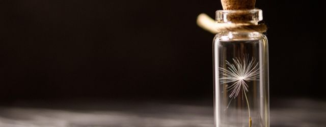 Illustration de la préservation de la biodiversité