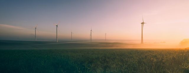 Champ d'éolienne illustrant la transition énergétique